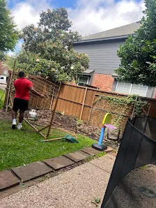 Junk Quest Removal crew clearing items during electronic waste disposal and yard cleanup in North Dallas