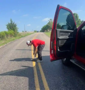 junk removal McKinney animals rescued Junk Quest crew helping rabbit coyote and pets