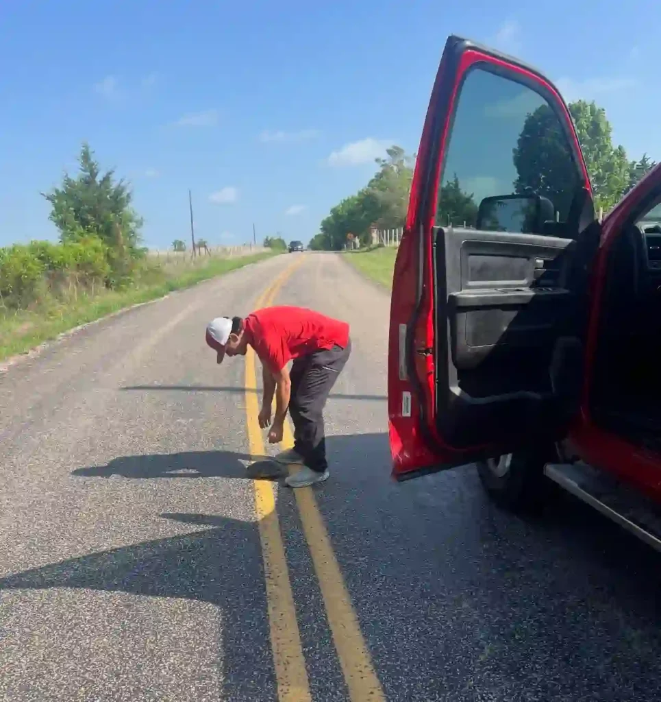 junk removal McKinney animals rescued Junk Quest crew helping rabbit coyote and pets