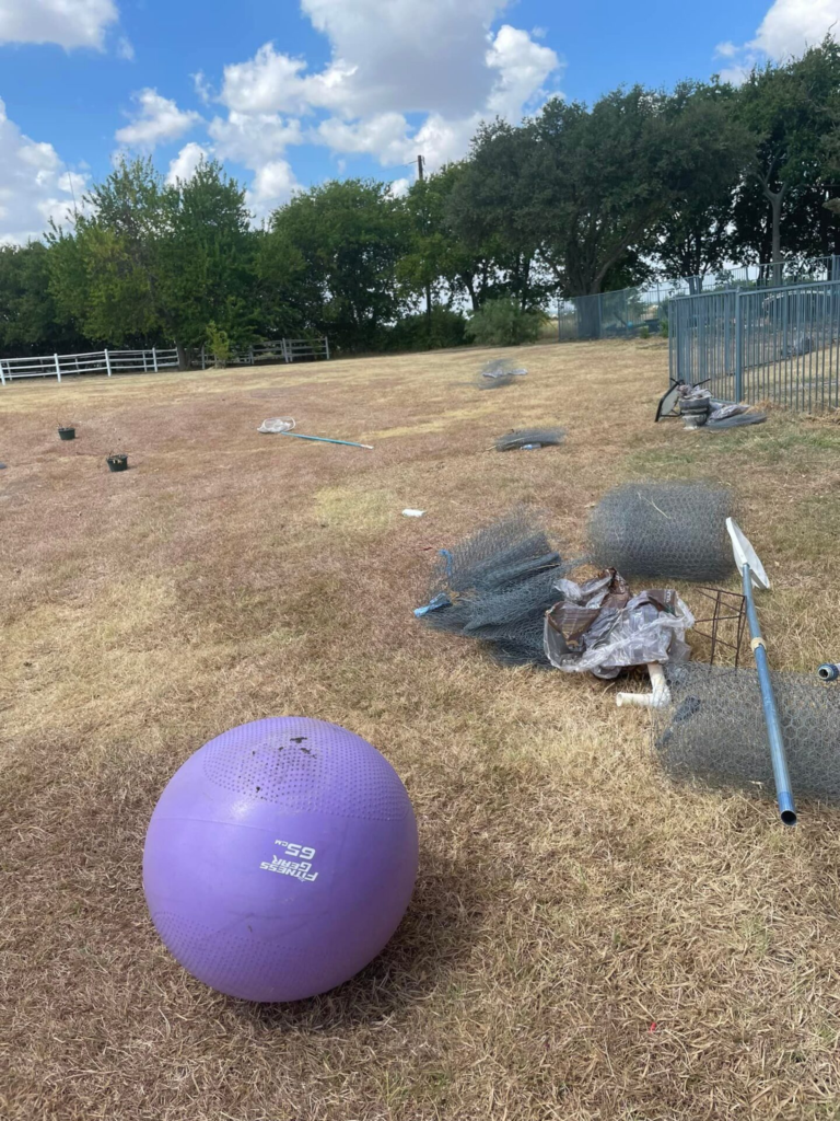 Yard debris and clutter cleared during a junk removal job in North Dallas